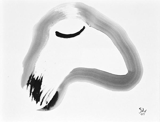 5-2005 enigmatique 51x66 chf 2000.jpg